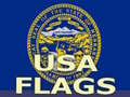 Mchezo Usa Flags 