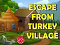 Mchezo Escape From Turkey Village