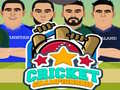 Mchezo Cricket Championship