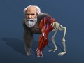 Mchezo Idle Evolution From Cell To Human