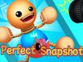 Mchezo Perfect Snapshot