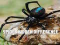 Mchezo Spider Hidden Difference
