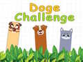 Mchezo Doge Challenge