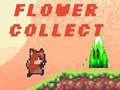 Mchezo Flower Collect