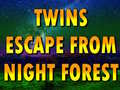 Mchezo Twins Escape From Night Forest