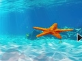 Mchezo Escape From Underwater Starfish