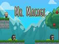 Mchezo Mr Macagi