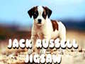 Mchezo Jack Russell Jigsaw