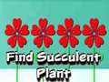 Mchezo Find Succulent Plant