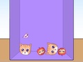 Mchezo Evolution of Cat Memes