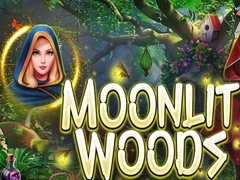 Mchezo Moonlit Woods