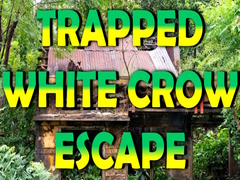 Mchezo Trapped White Crow Escape
