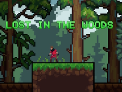 Mchezo Lost in the Woods