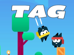 Mchezo Tag