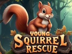 Mchezo Young Squirrel Rescue