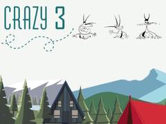Mchezo Crazy 3