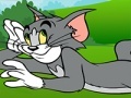 Mchezo Tom and Jerry ATV Adventure