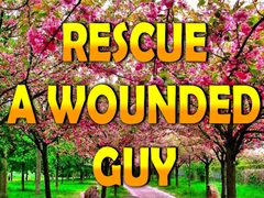 Mchezo Rescue A Wounded Guy