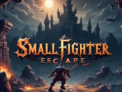 Mchezo Small Fighter Escape