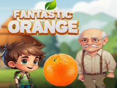 Mchezo Fantastic Orange