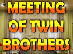 Mchezo Wow Meeting of Twin Brothers