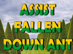 Mchezo  Assist Fallen Down Ant