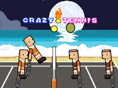 Mchezo Crazy Tennis