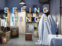 Mchezo Seeing Things