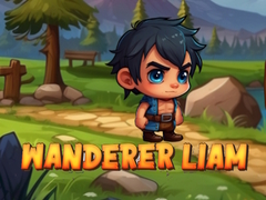 Mchezo Wanderer Liam