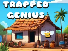 Mchezo Trapped Genius