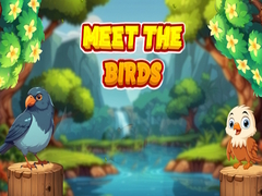 Mchezo Meet The Birds 