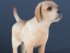 Mchezo IDLE Pet