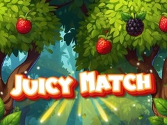 Mchezo Juicy Match