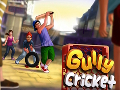 Mchezo Gully Cricket
