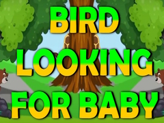 Mchezo Bird Looking For Baby