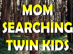 Mchezo Mom Searching Twin Kids
