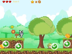 Mchezo Baby Cat Adventure