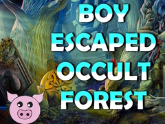Mchezo Boy Escaped Occult Forest