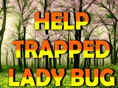 Mchezo Help Trapped Lady Bug