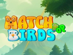 Mchezo Match Pop Birds