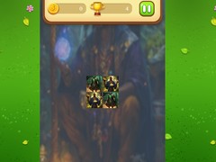 Mchezo Magic Druid Memory Match