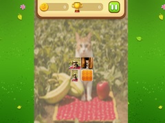 Mchezo Farm Cat Memory Match