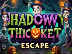Mchezo Shadowy Thicket Escape