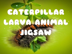 Mchezo Caterpillar Larva Animal Jigsaw