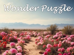 Mchezo Wonder Puzzle
