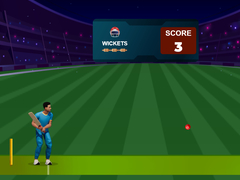 Mchezo Cricket Night 2