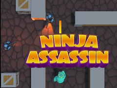 Mchezo Ninja Assassin