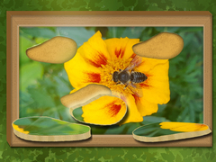 Mchezo Find & Restore: Hidden Puzzle