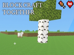 Mchezo BlockCraft Together