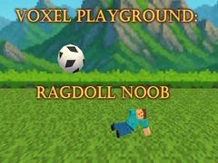 Mchezo Voxel Playground: Ragdoll Noob